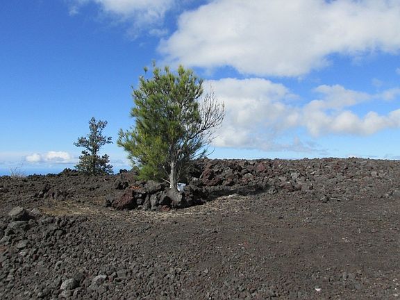 2nd image of 92-8279 Iwalani Pkwy Lot 16