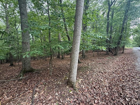 5th image of 18 Saunders Point Rd Lot 18