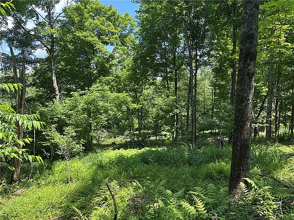 5th image of 0 Cooperstown Rd