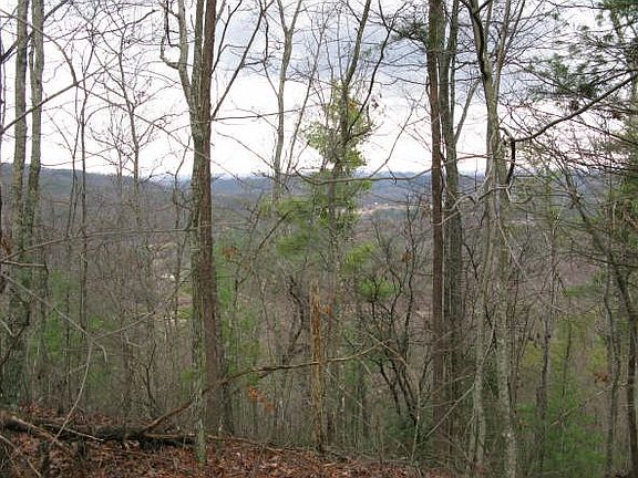 4th image of 1429 Chestnut Valley Dr