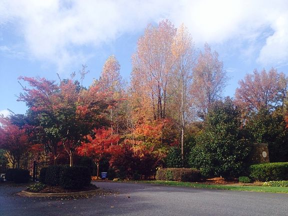 Pebble Bay/Goose Point Entry