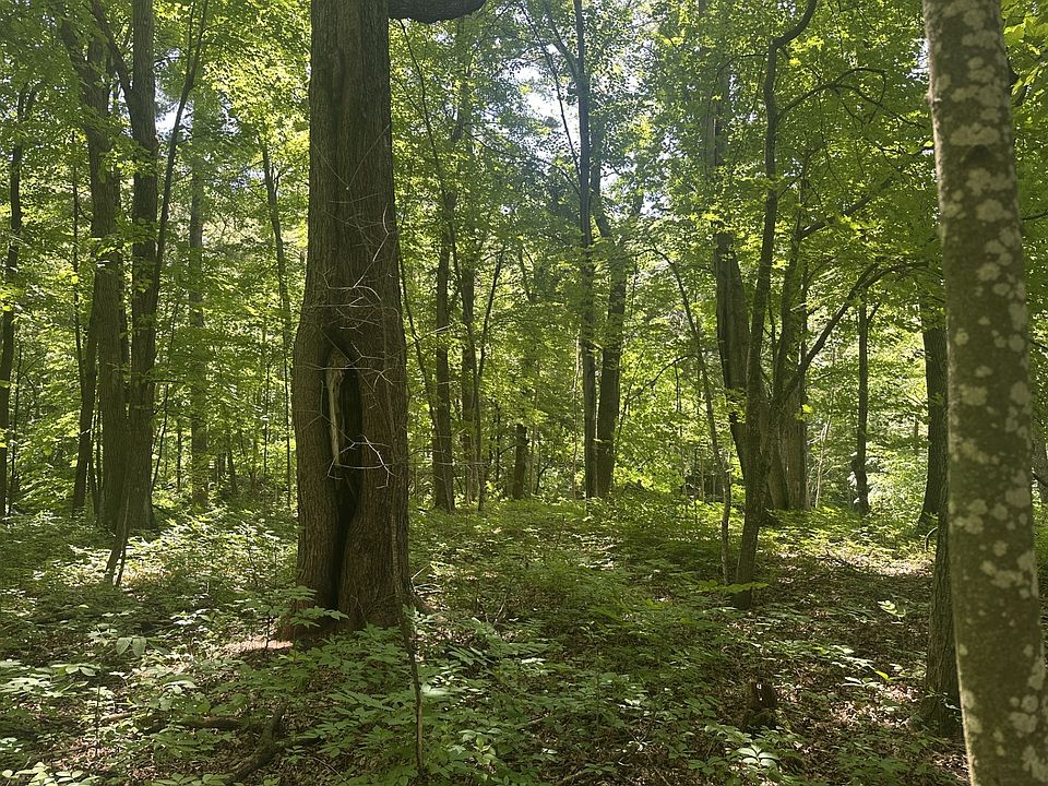 1st image of Lot 1 Becker Road