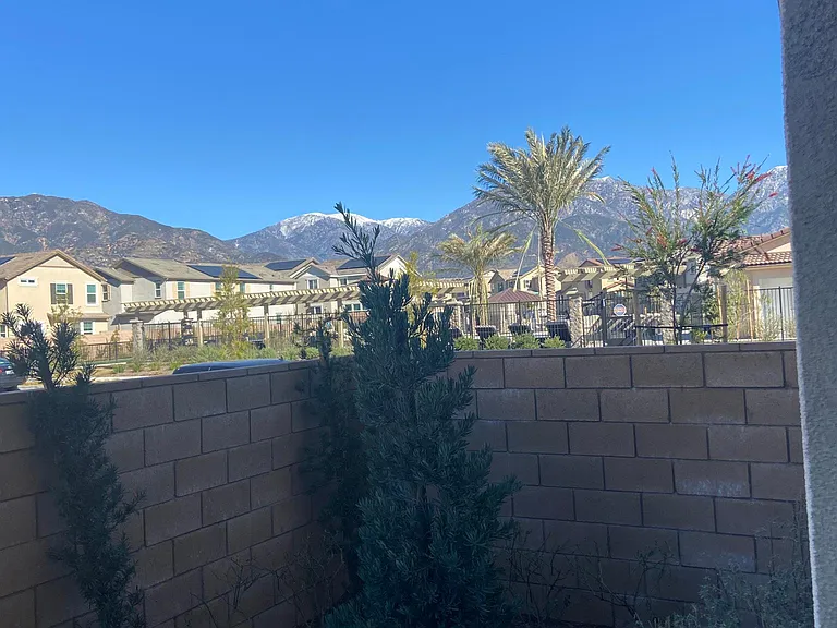 1703 Almond Tree Pl — Photo 3