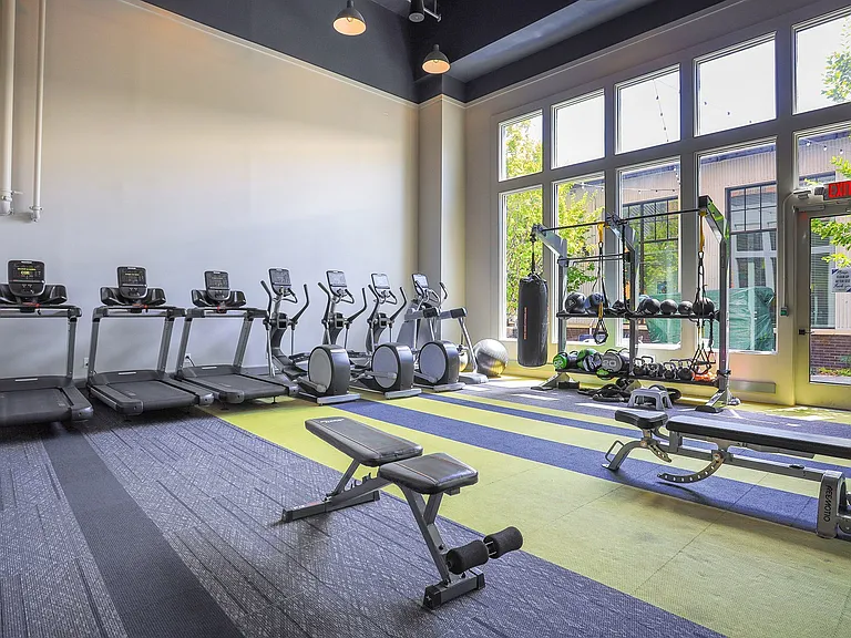 Premiere Lofts at Trilith - Luxury Apartments — Photo 20