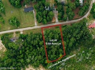 42 Pond View Cir E Lot 42, Hampstead, NC 28443