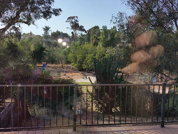 veiw from back deck
