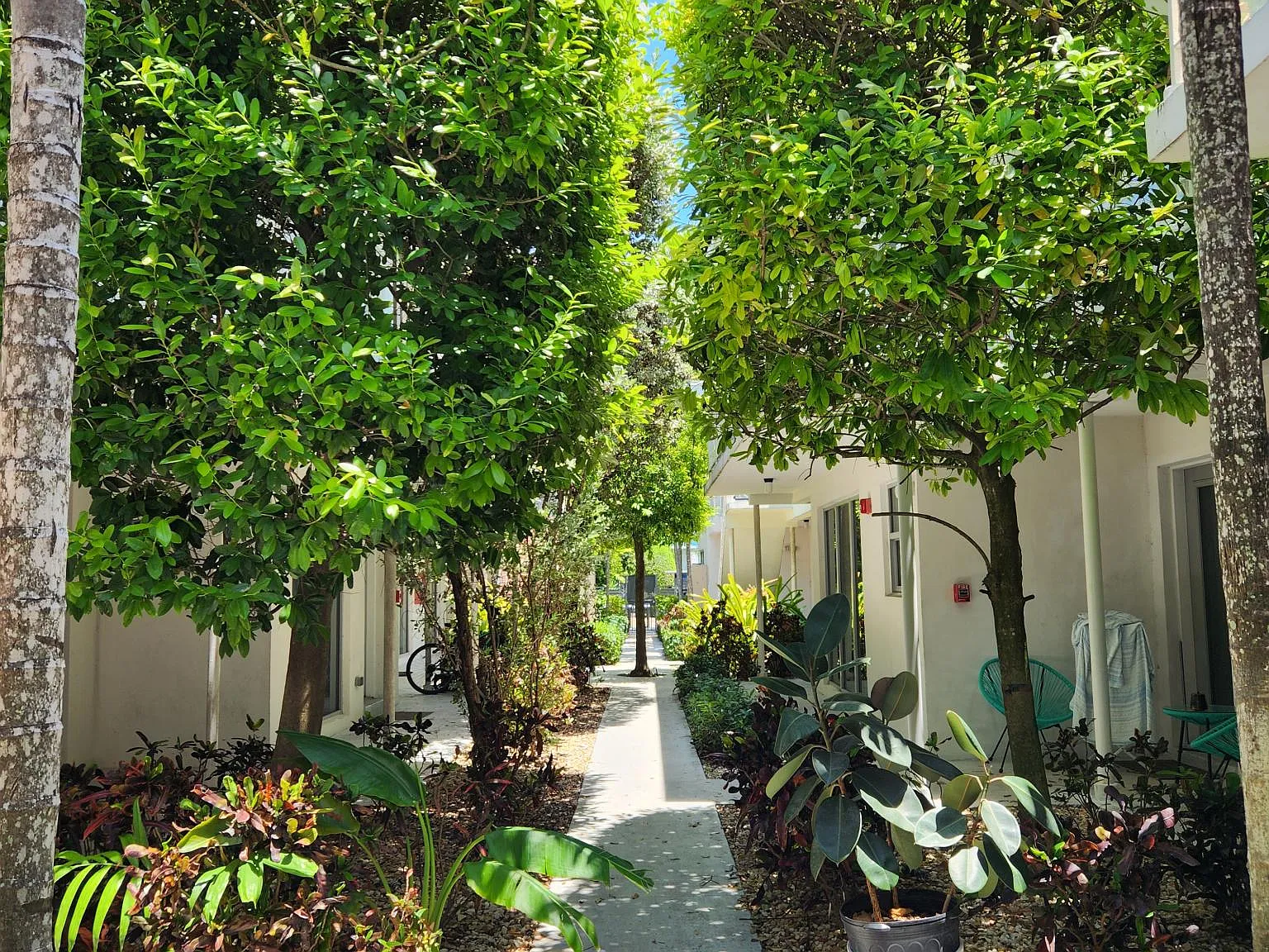 1 bed, 588 sqft, $2,399 — Photo 4
