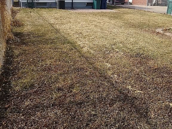 4th image of 1453 Marion Ave