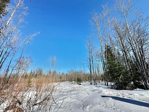 3rd image of 8333 Solberg Lake Rd