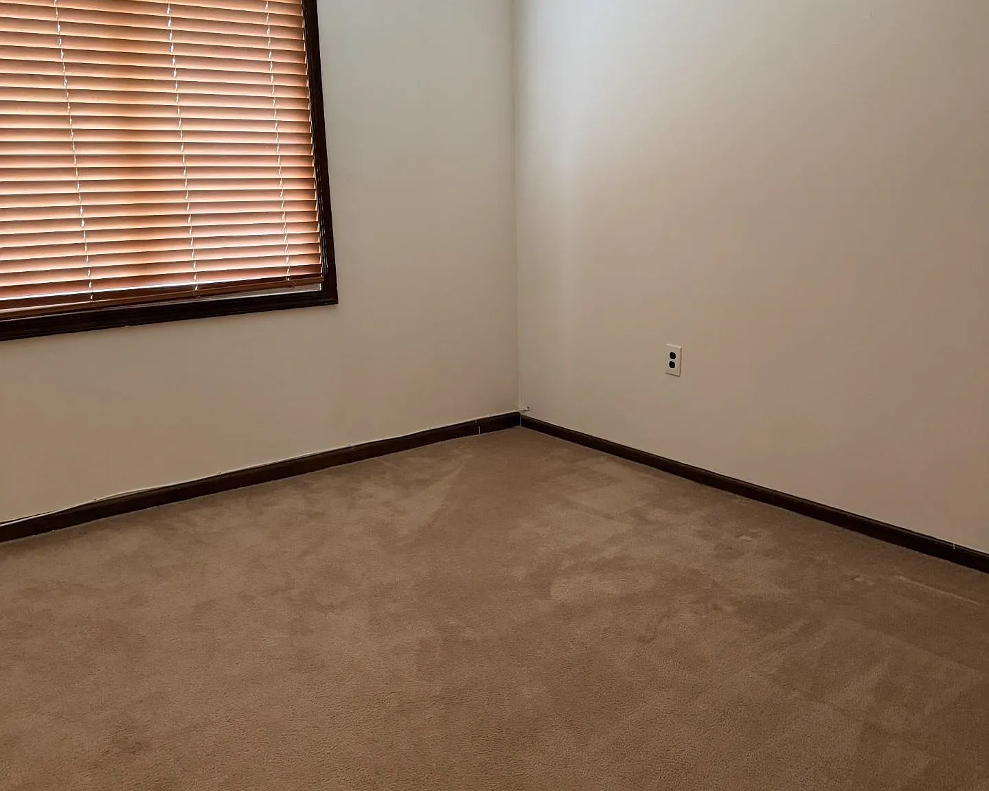 2 bed, 1.0 bath, $2,200 — Photo 3