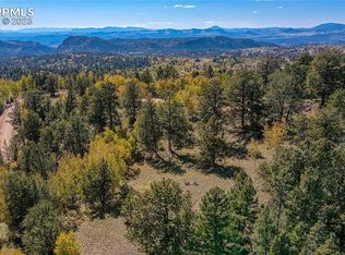 864 Wellington Dr, Cripple Creek, CO 80813