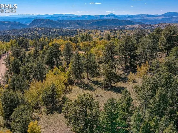 864 Wellington Dr, Cripple Creek, CO 80813