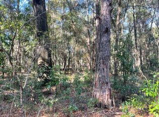 0 Undetermined, Belleview, FL 34420