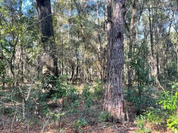 000 Undetermined, Belleview, FL 34420