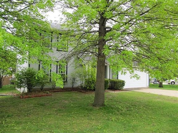 Mature Tree for Shade