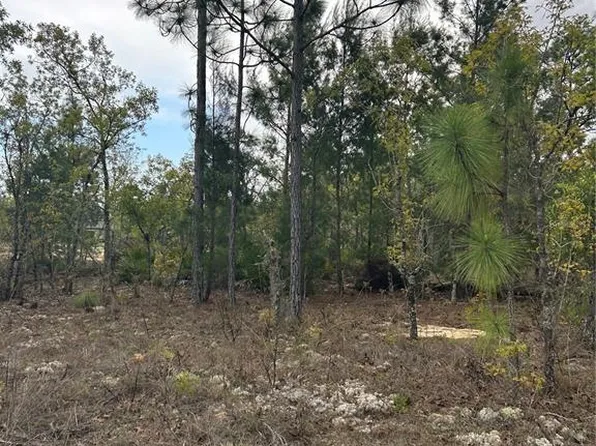 3528 W Nieman Dr Lot 9, Dunnellon, FL 34433