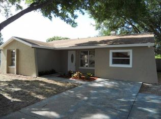 10106 Chimney Hill Ct, Tampa, FL 33615