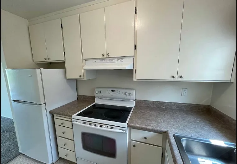237 Picnic Ave #38