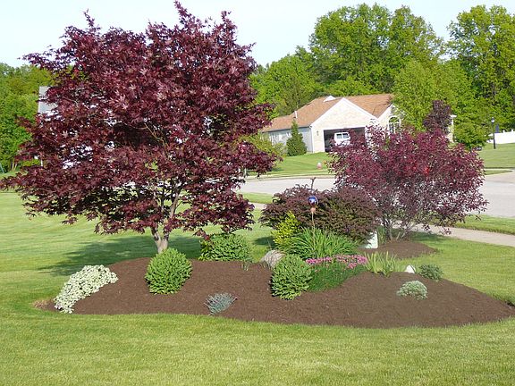 Island in front yard