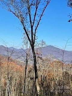 2nd image of 104 Avalon Gap Trl