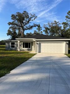 24381 NW Falcon Ave, Dunnellon, FL, 34432