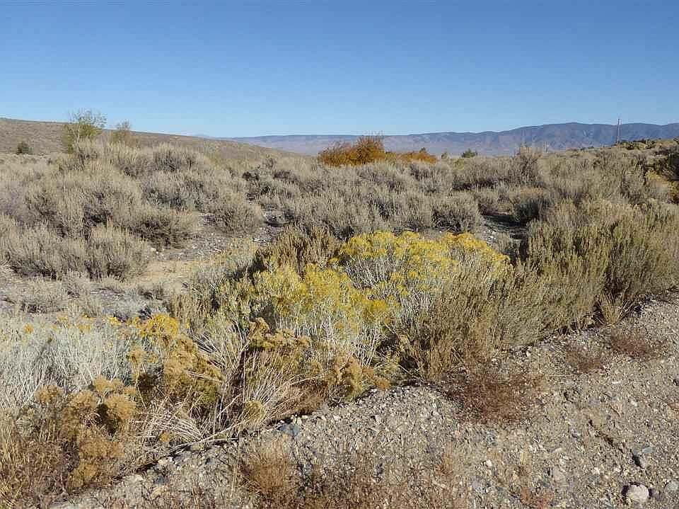 2 Guadalajara Ct, Kingston, NV 89310 Zillow