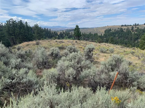 112 Lautenburg Drive, Fort Garland, CO 81133