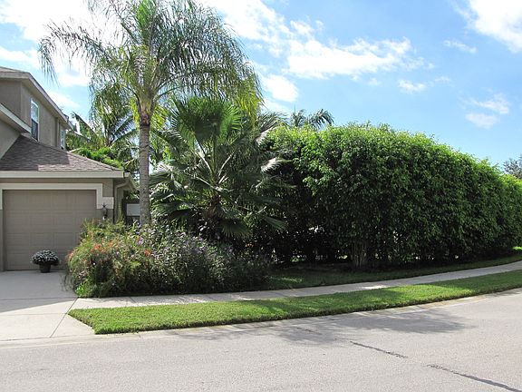 2nd image of 298 Spider Lily Ln