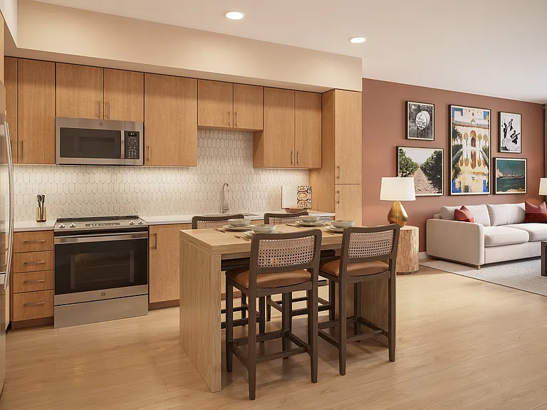 Modern Kitchen and Living Area