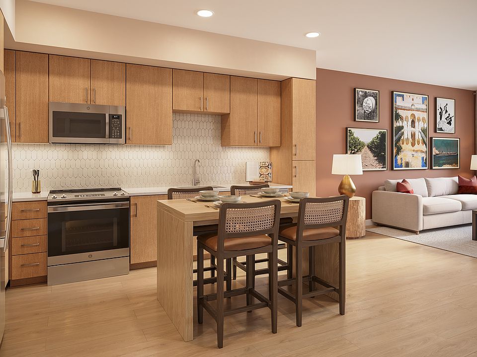 Modern Kitchen and Living Area