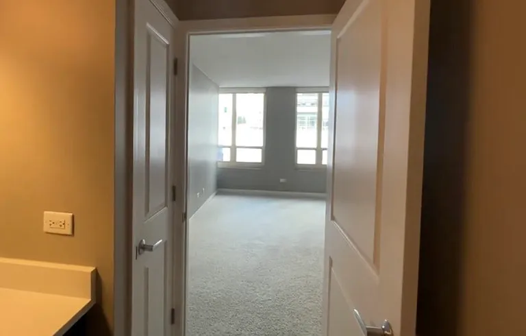 739 N Wabash Ave #700 — Photo 6