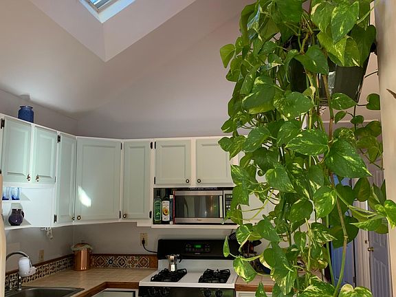 kitchen with skylight