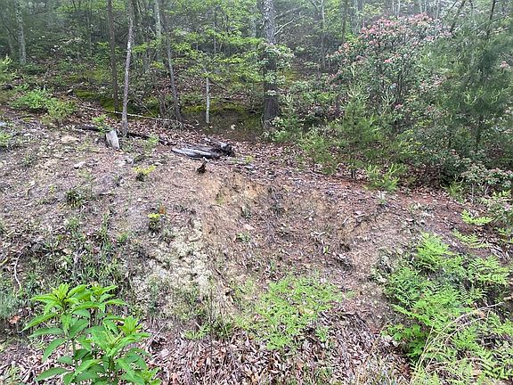 3rd image of 15 Linwood Ct Lot 15