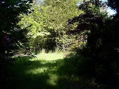 5th image of 30805 112th Ave SE