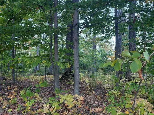 4840 Turfway Trl, Harbor Springs, MI 49740