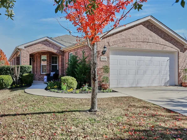 7878 Birmingham Forest Dr, Frisco, TX 75034