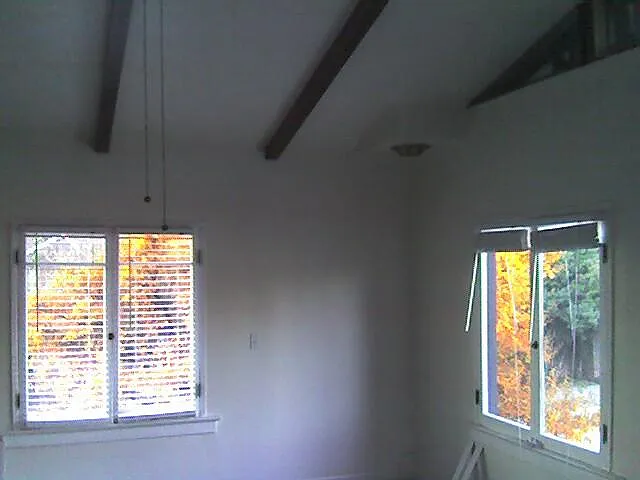 large windows with fall color