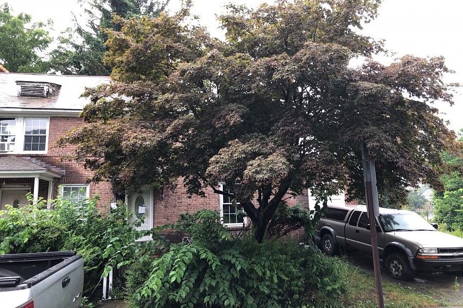 1st image of 35 Bush Ave