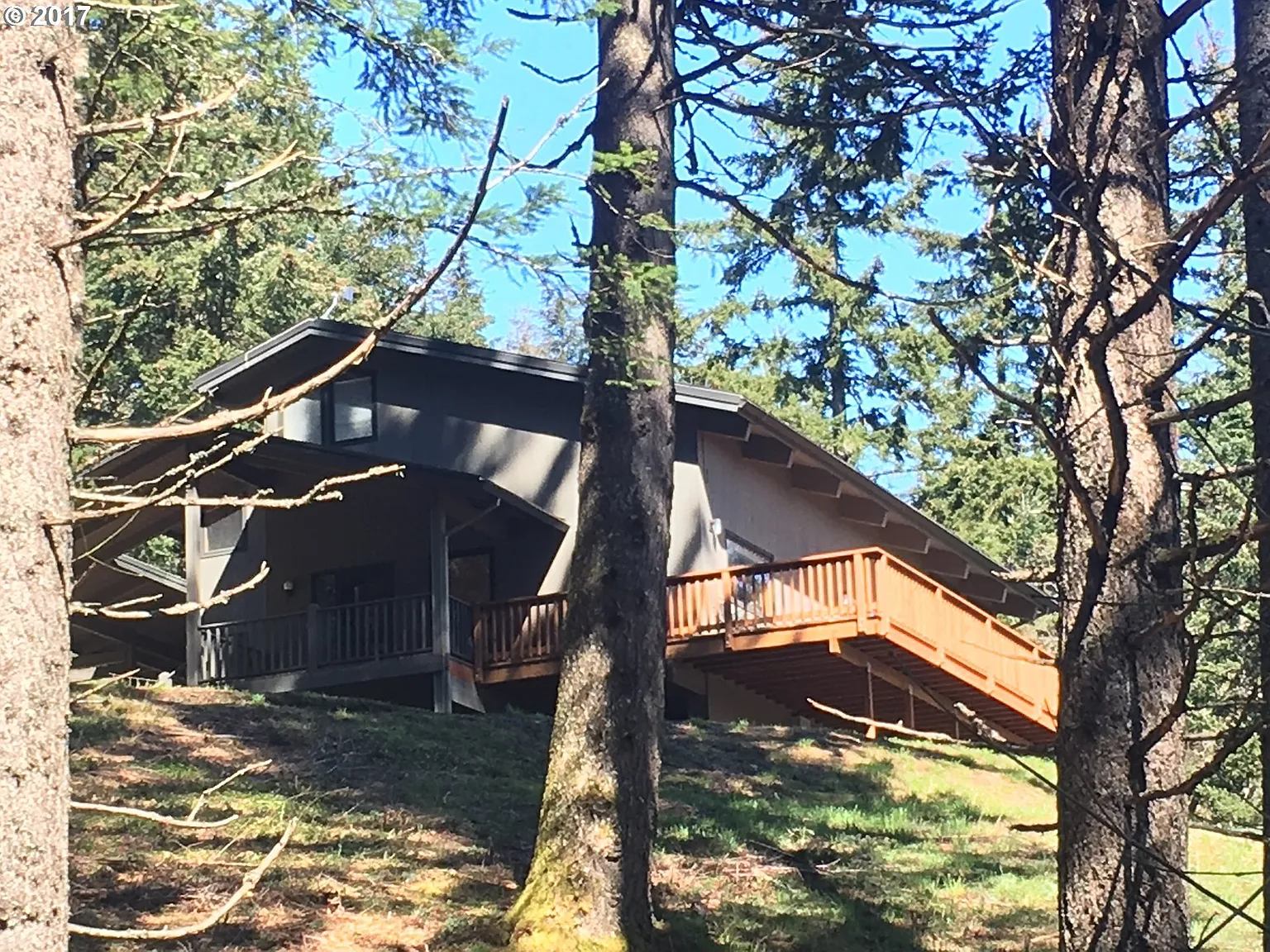 4802 Phelps Creek Rd photo 1