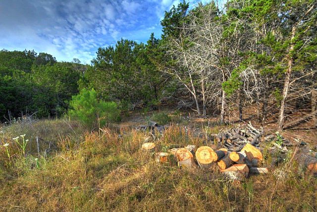2nd image of 212 El Rancho Grande Rd