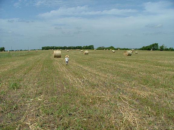 2nd image of 0 Mirage Dr