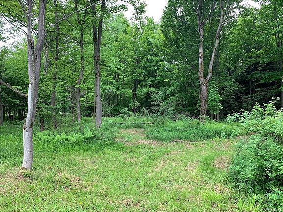3rd image of 5 Deer Pond Acres