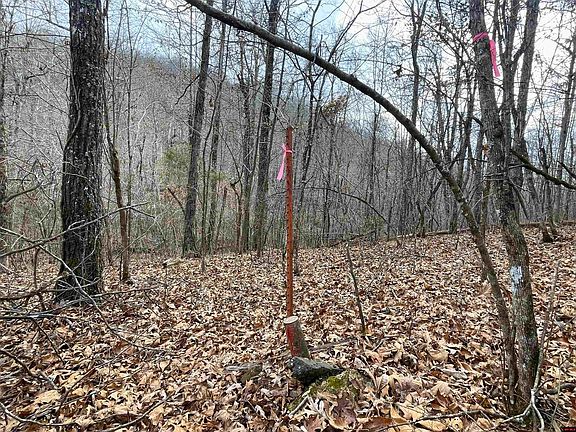 4th image of 001-07753-000 Land Lock Rd