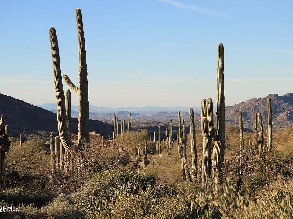 1st image of 41927 N Saguaro Forest Dr