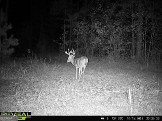 5th image of 0 Weaver Jones Rd