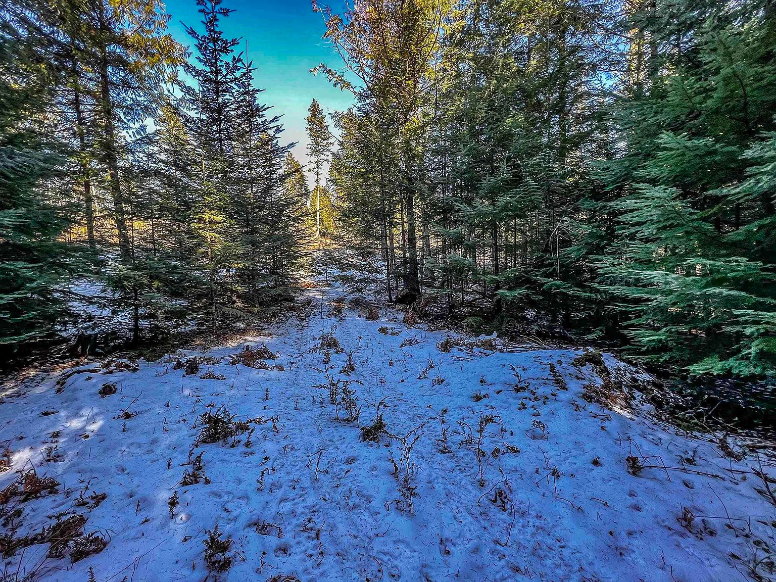 13151 W Pine St, Dover, ID 83825 MLS 20222990 Zillow