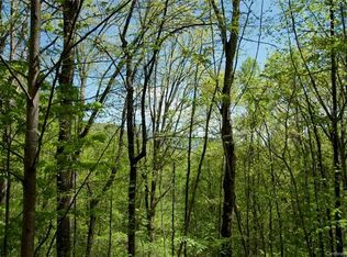 199 Dog Leg Rd, Whittier, NC 28789