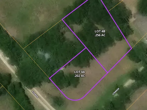 LOT 4A Atkinson St, Blooming Grove, TX 76626