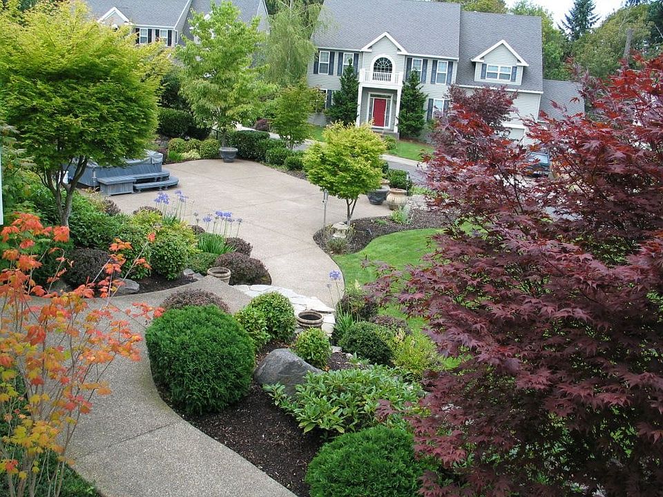 Backyard-View #1