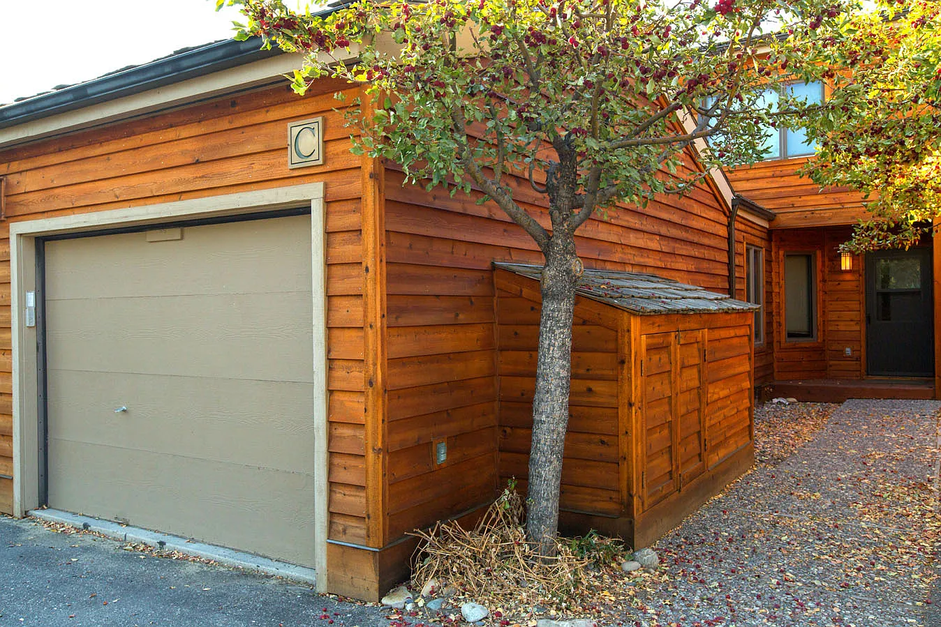 Glacier C - 1 — Photo 1
